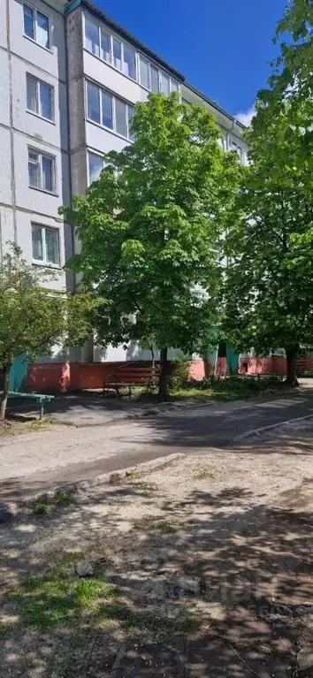 3-к кв. Брянская область, Жуковка пер. Мальцева, 3 (62.7 м) - Фото 0