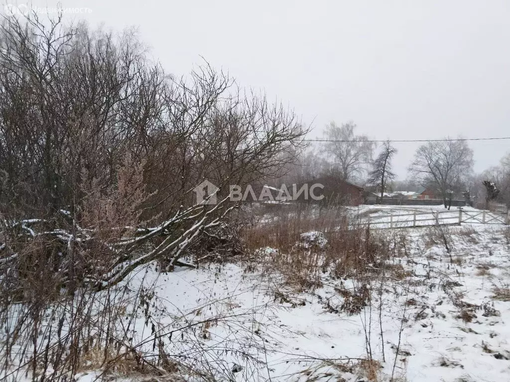 Участок в Московская область, городской округ Зарайск, деревня Малые ... - Фото 1