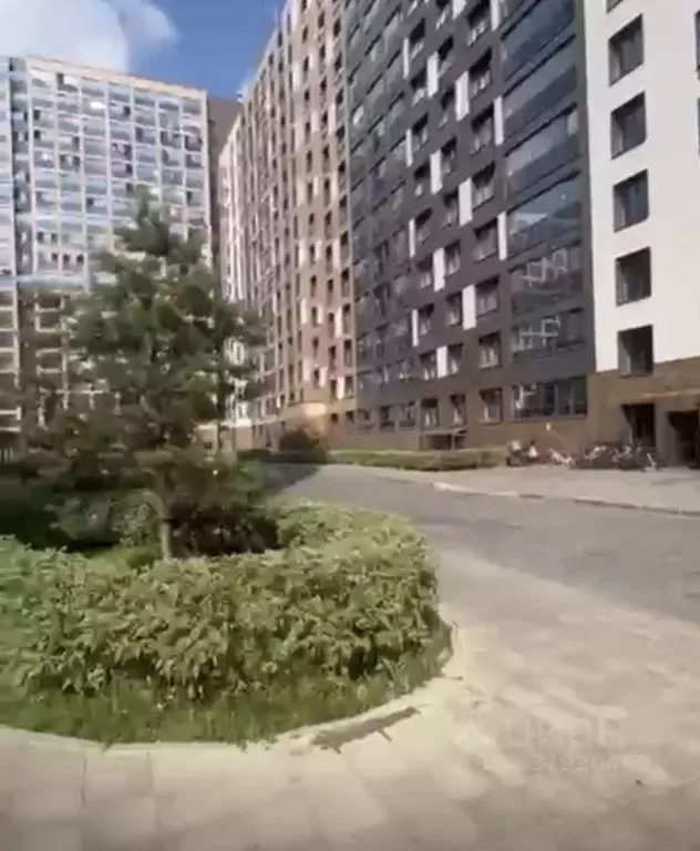 Студия Санкт-Петербург ул. Архивная, 4 (24.37 м) - Фото 1
