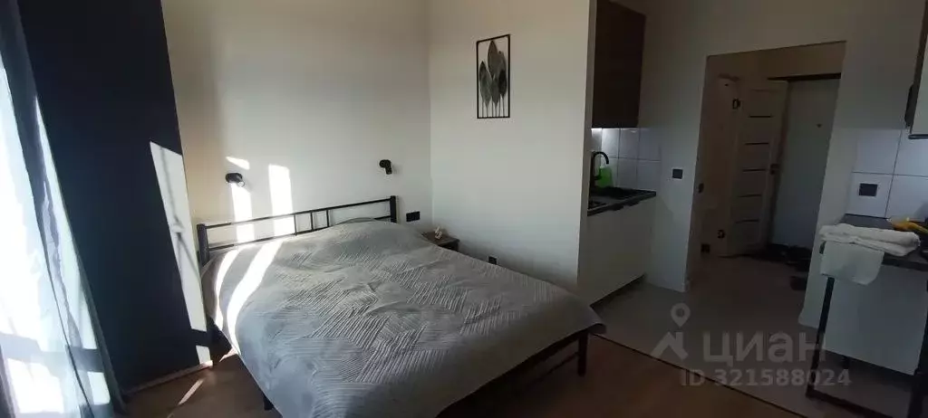 Студия Ленинградская область, Мурино Всеволожский район, ул. Шувалова, ... - Фото 1