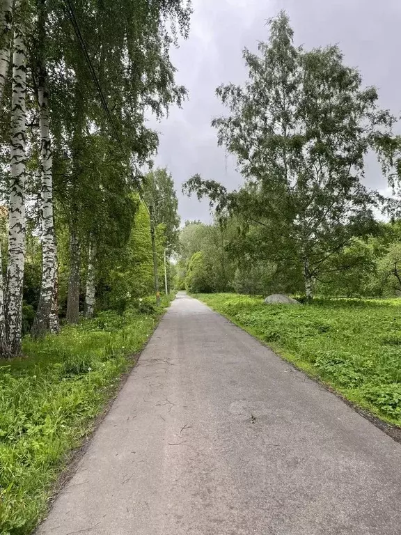 Участок в Санкт-Петербург, Санкт-Петербург, Пушкин Гуммолосары тер., ... - Фото 2