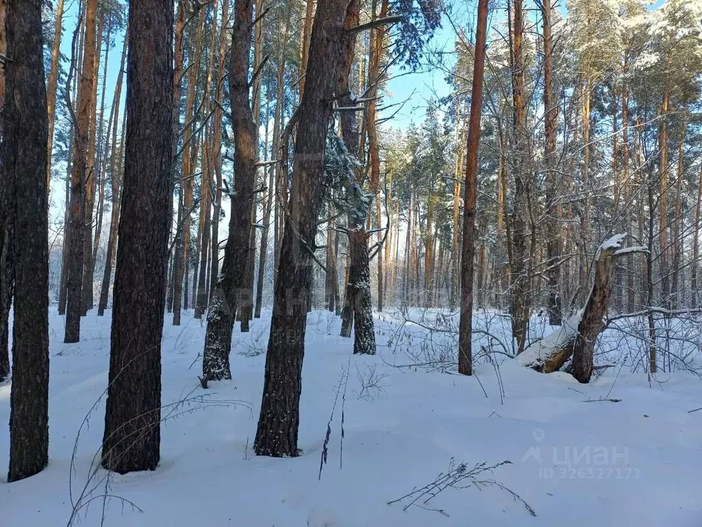 Участок в Тамбовская область, Знаменский муниципальный округ, с. ... - Фото 2