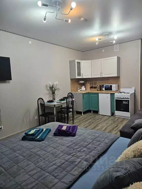 Студия Пермский край, Пермь ул. Куйбышева, 135 (27.0 м) - Фото 1