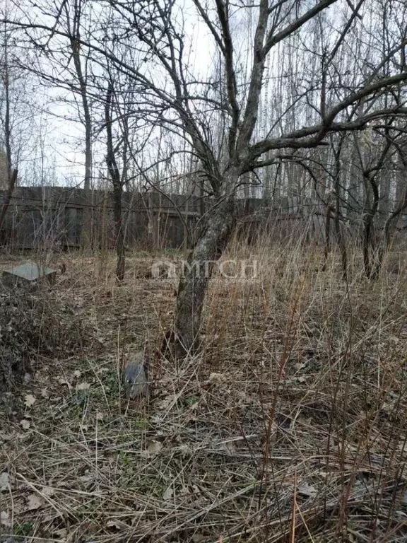 Участок, 5.5 сот., сельхоз (снт или днп) - Фото 1