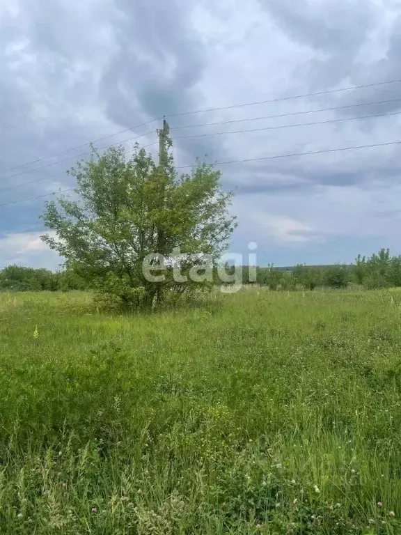 Участок в Воронежская область, с. Новая Усмань, Отрада СНТ ул. Речная ... - Фото 0