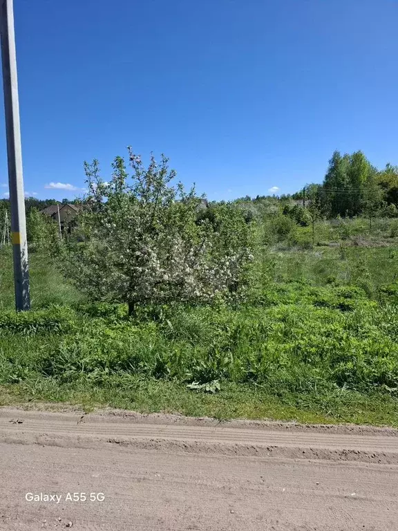 Участок 15 сот. (ИЖС) - Фото 0