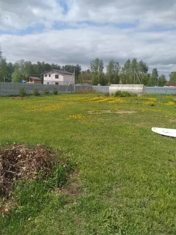 Участок в Новосибирская область, Новосибирский район, Ярковский ... - Фото 0