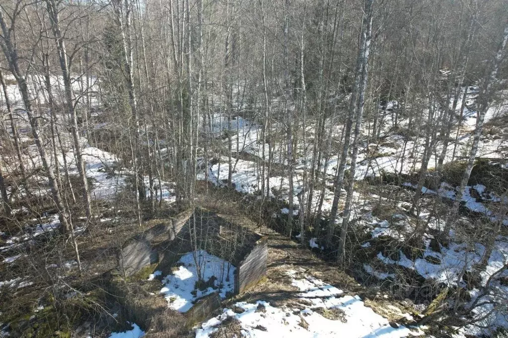 Участок в Карелия, Лахденпохский муниципальный округ, пос. Терваярви ... - Фото 2