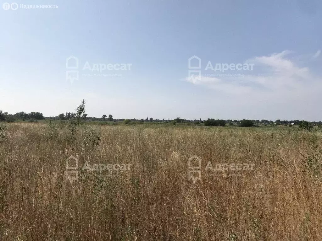 Участок в Среднеахтубинский район, Куйбышевское сельское поселение, ... - Фото 1