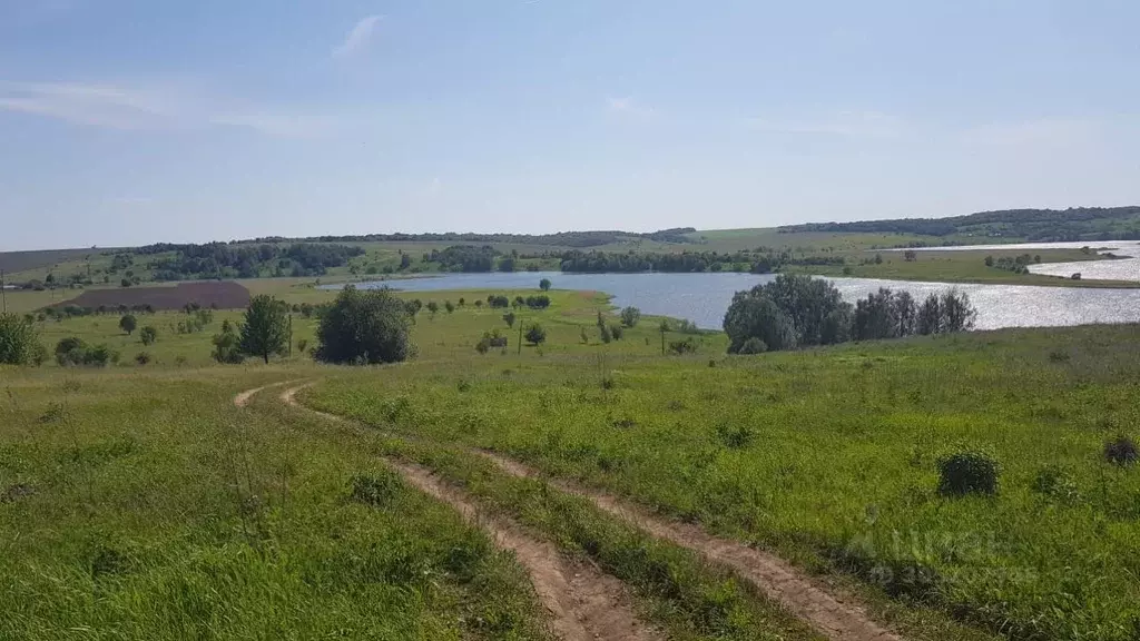 Участок в Тульская область, Киреевский район, Липки муниципальное ... - Фото 1