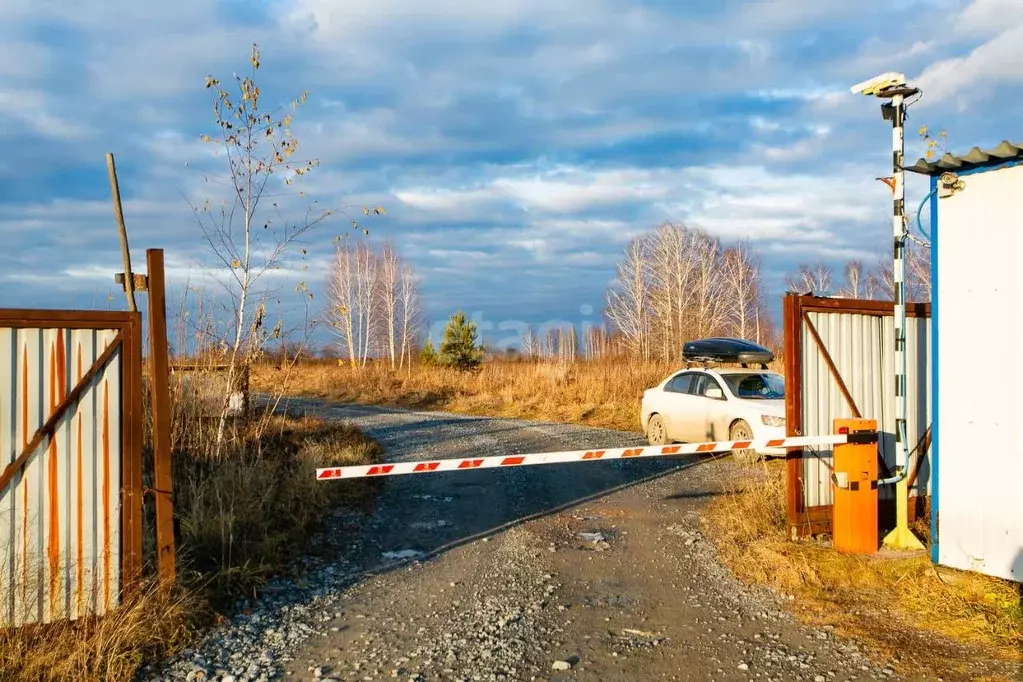 Участок в Новосибирская область, Новосибирский район, Кудряшовский ... - Фото 0