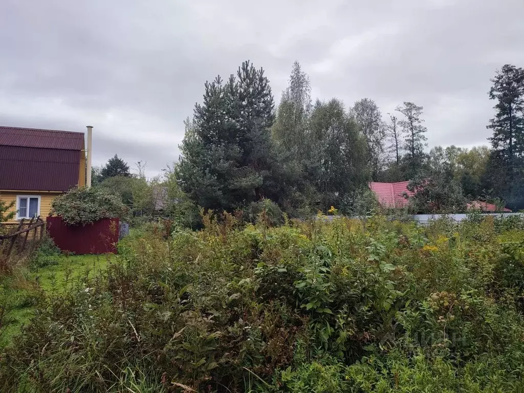 Участок в Московская область, Раменский городской округ, Быково рп ул. . - Фото 1