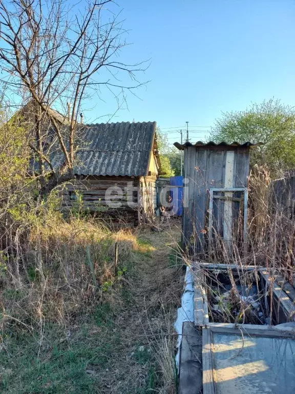 Дом в Амурская область, Шимановск ул. Некрасова, 36 (35 м) - Фото 1