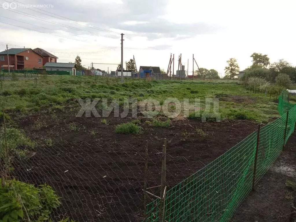 Участок в Толмачёвский сельсовет, деревня Алексеевка, Центральная ... - Фото 0