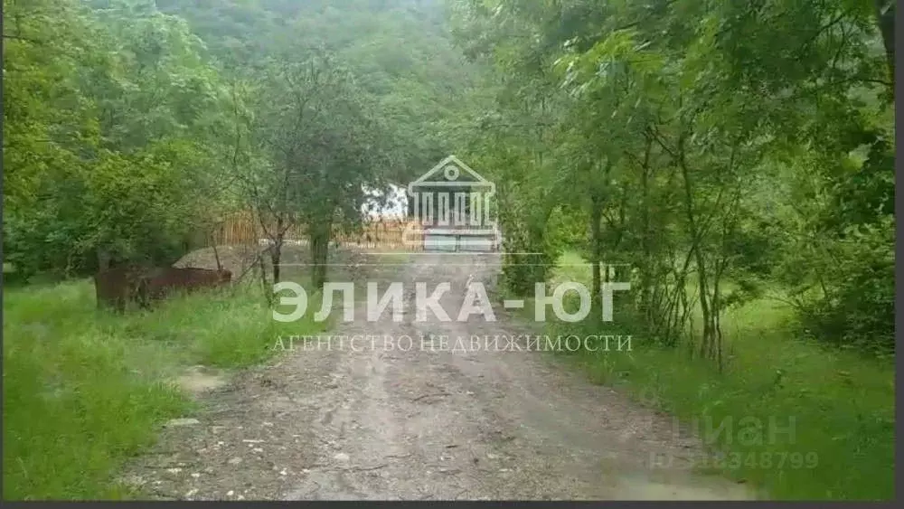 Участок в Краснодарский край, Туапсинский муниципальный округ, с. ... - Фото 1