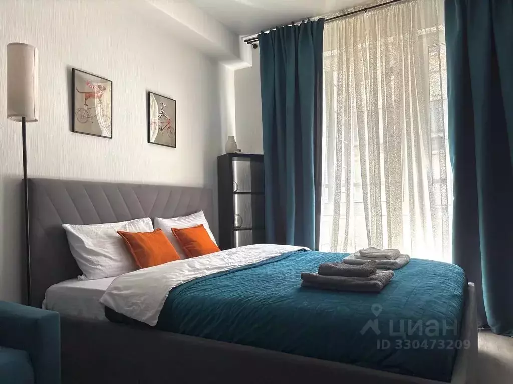 1-к кв. Санкт-Петербург ул. Одоевского, 17 (29.0 м) - Фото 1