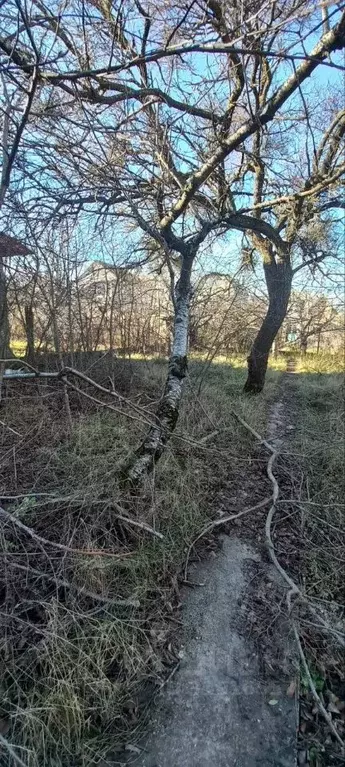 Участок в Крым, Симферополь пл. Ленина (3.0 сот.) - Фото 0