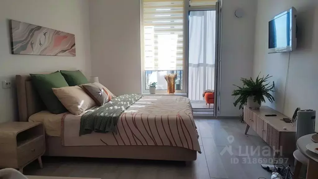 Студия Санкт-Петербург Фарфоровская ул., 7к2 (24.0 м) - Фото 0