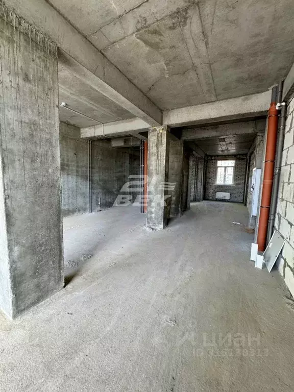 Помещение свободного назначения в Курская область, Курск ул. Энгельса, ... - Фото 0