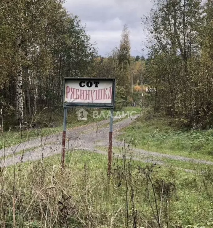 Участок в Карелия, Кондопожский муниципальный район, Кедрозерское ... - Фото 1