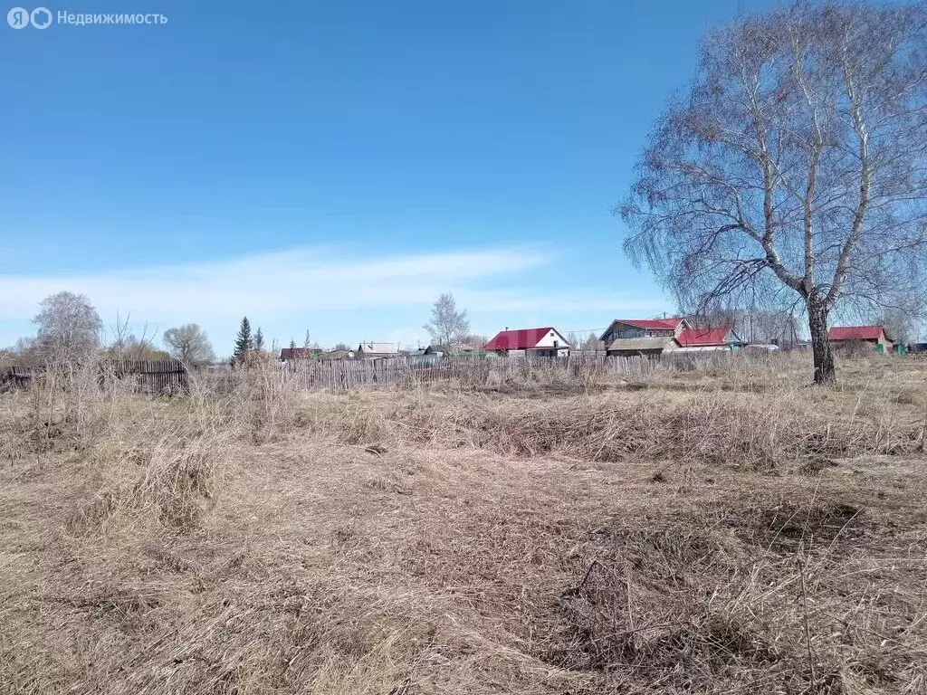 Участок в село Васильевка, Колхозная улица (8 м) - Фото 0