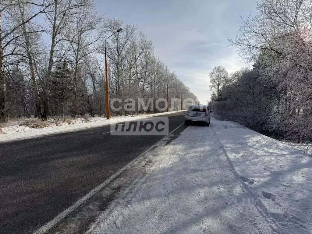 Участок в Амурская область, Благовещенский район, с. Усть-Ивановка ул. ... - Фото 2