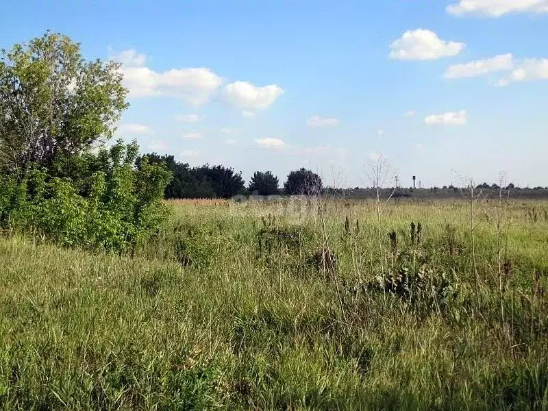 Участок в Ярославская область, Даниловский район, с. Середа  (10.1 ... - Фото 0