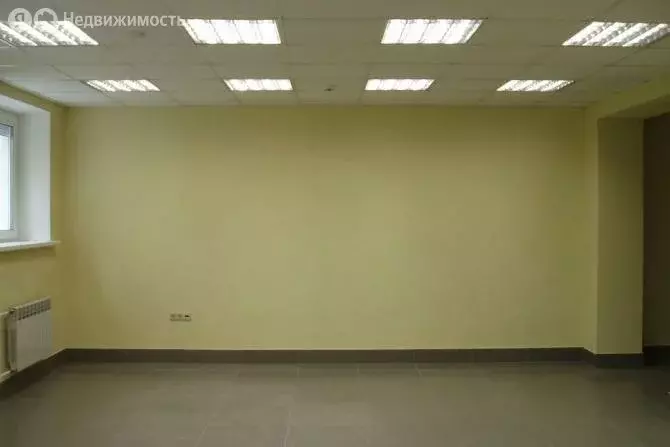 Помещение свободного назначения (55.6 м) - Фото 1
