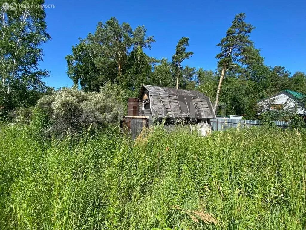 Участок в Новосибирск, СНТ Сибирский Мичуринец, Солнечная улица (10 м) - Фото 1