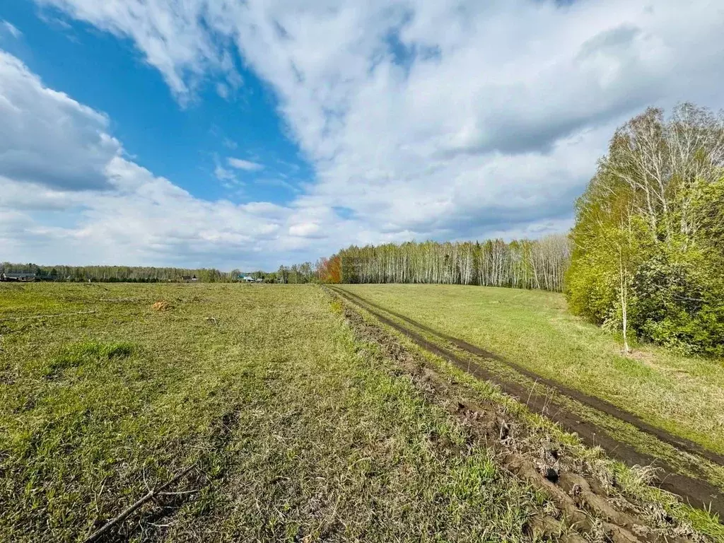 Участок в Тюменская область, Тюменский район, с. Кулига  (9.8 сот.) - Фото 0