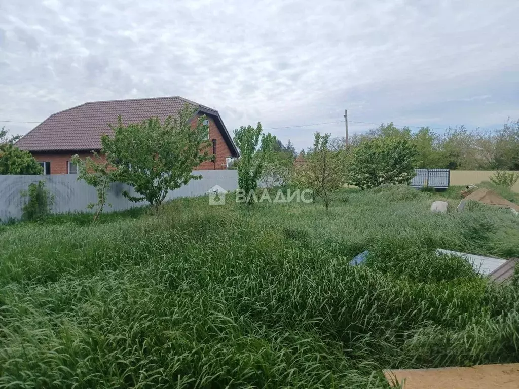 Участок в Краснодарский край, Ейский район, Кухаривское с/пос, с. ... - Фото 1