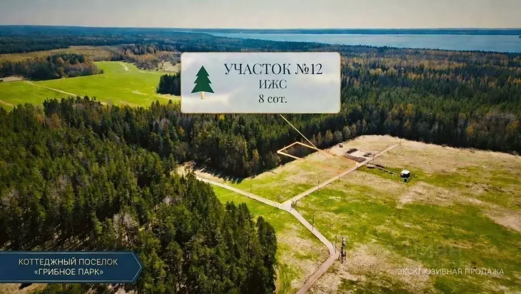 Участок в Ленинградская область, Выборгский район, Красносельское ... - Фото 2