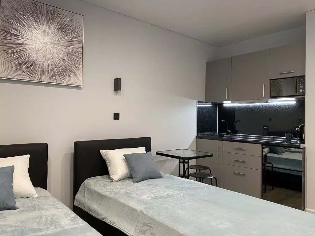 Студия Москва Ленинский просп., 158 (21.0 м) - Фото 1