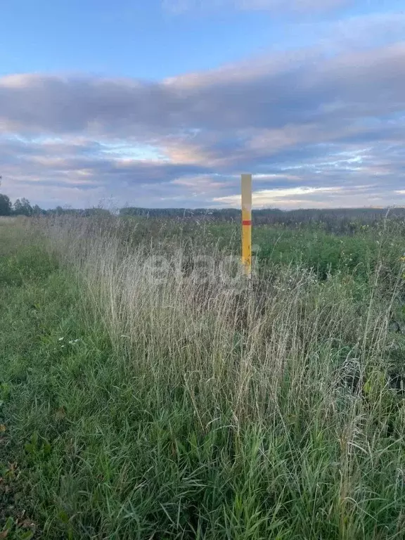 Участок в Кемеровская область, Кемеровский муниципальный округ, с. ... - Фото 1