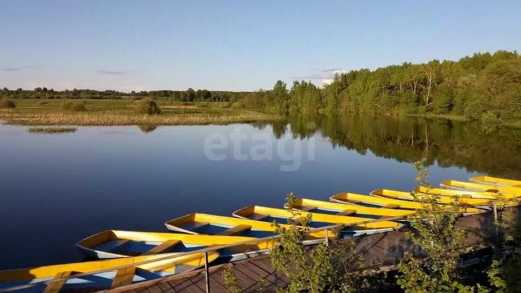 Участок в Костромская область, Красносельский район, Боровиковское ... - Фото 2