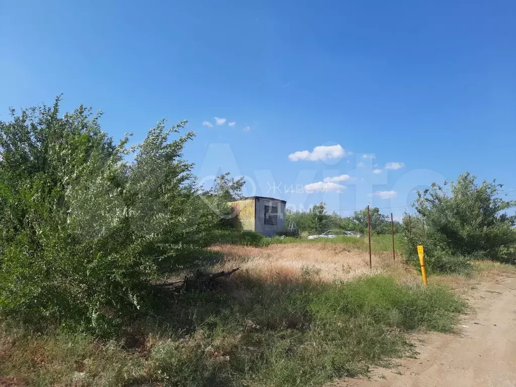 Участок 10 сот. (СНТ, ДНП) - Фото 0