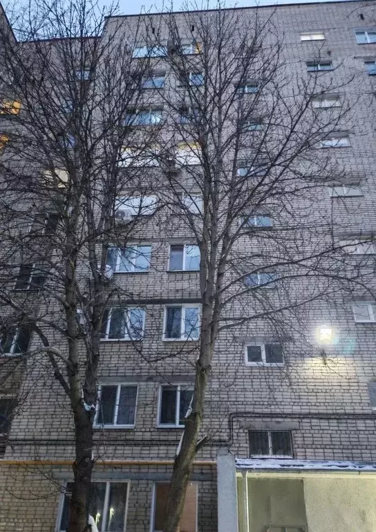 2-к кв. Саратовская область, Саратов Огородная ул., 87б (53.0 м) - Фото 1