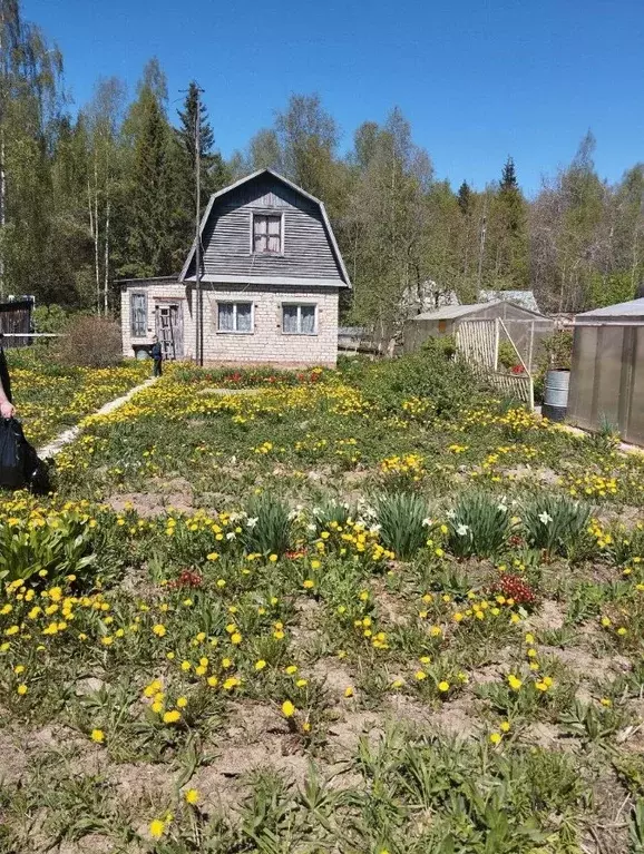 Участок в Пермский край, Пермь № 71 СНТ, 95 (5.4 сот.) - Фото 2