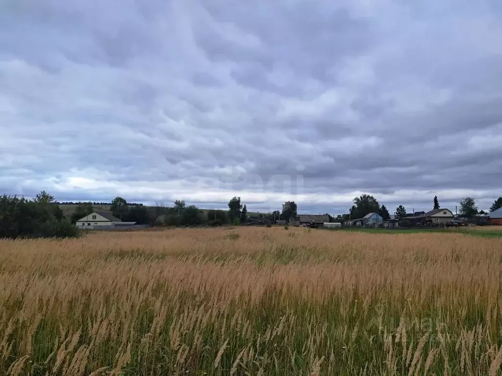 Участок в Мордовия, Саранск городской округ, д. Ивановка ул. ... - Фото 1