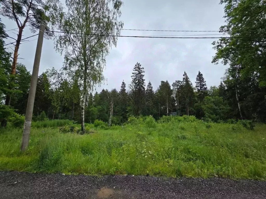 Участок в Московская область, Мытищи городской округ, с. Марфино  ... - Фото 2