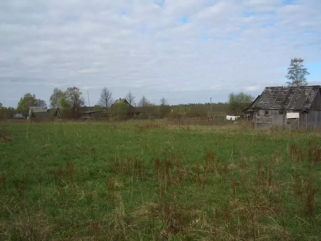 Участок в Псковская область, Струго-Красненский район, д. Турея  (28.0 ... - Фото 1