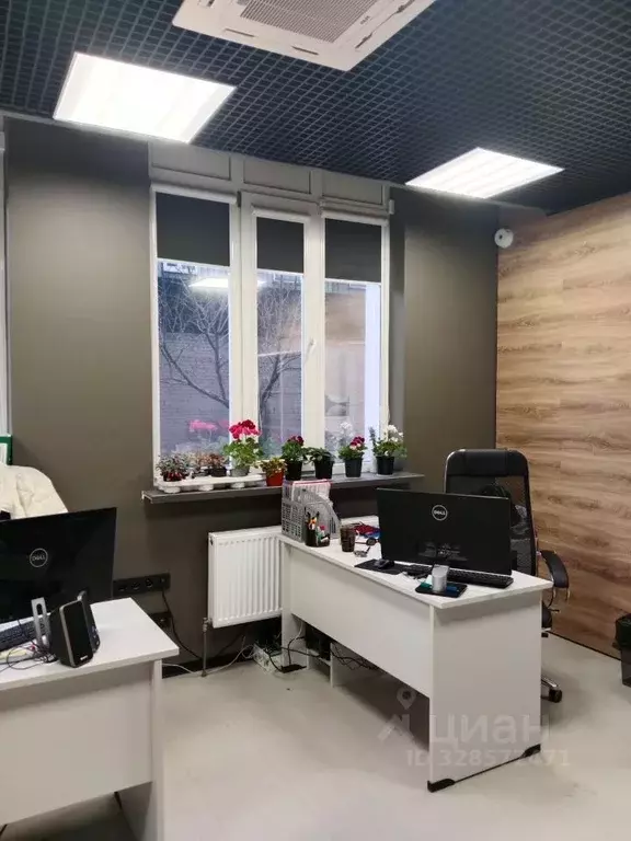 Помещение свободного назначения в Ростовская область, Ростов-на-Дону ... - Фото 2