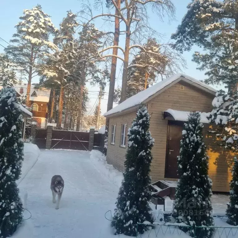 Дом в Санкт-Петербург пос. Песочный, Новгородская ул., 15Б (36 м) - Фото 0