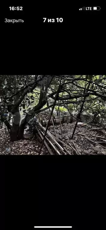 Участок 1 сот. (СНТ, ДНП) - Фото 0