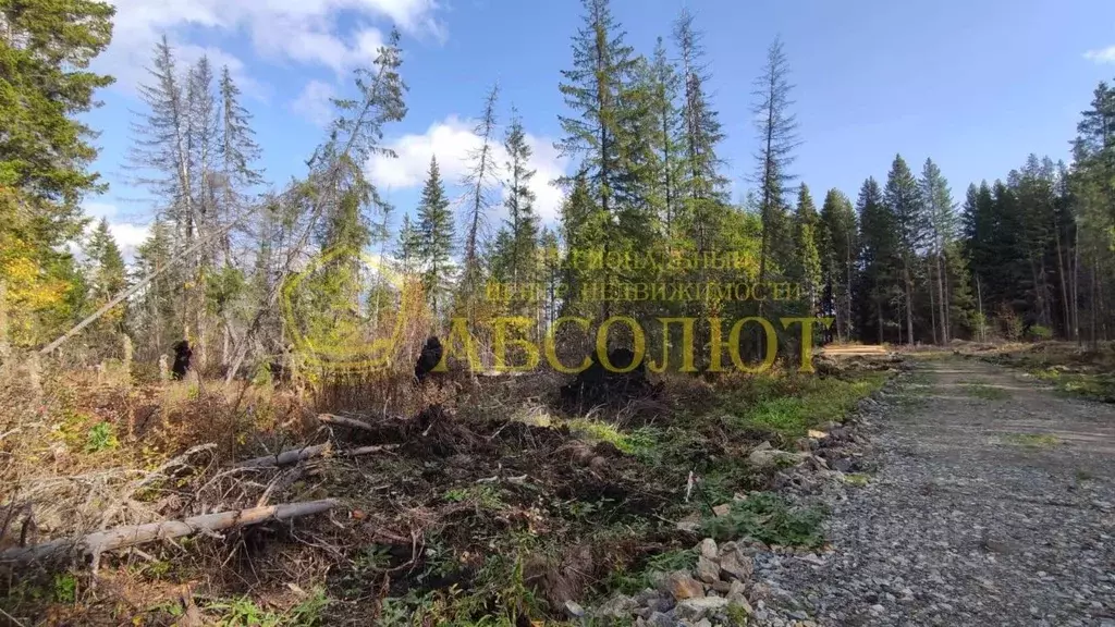 Участок в Свердловская область, Дегтярск ул. Игоря Ржавитина (10.0 ... - Фото 2