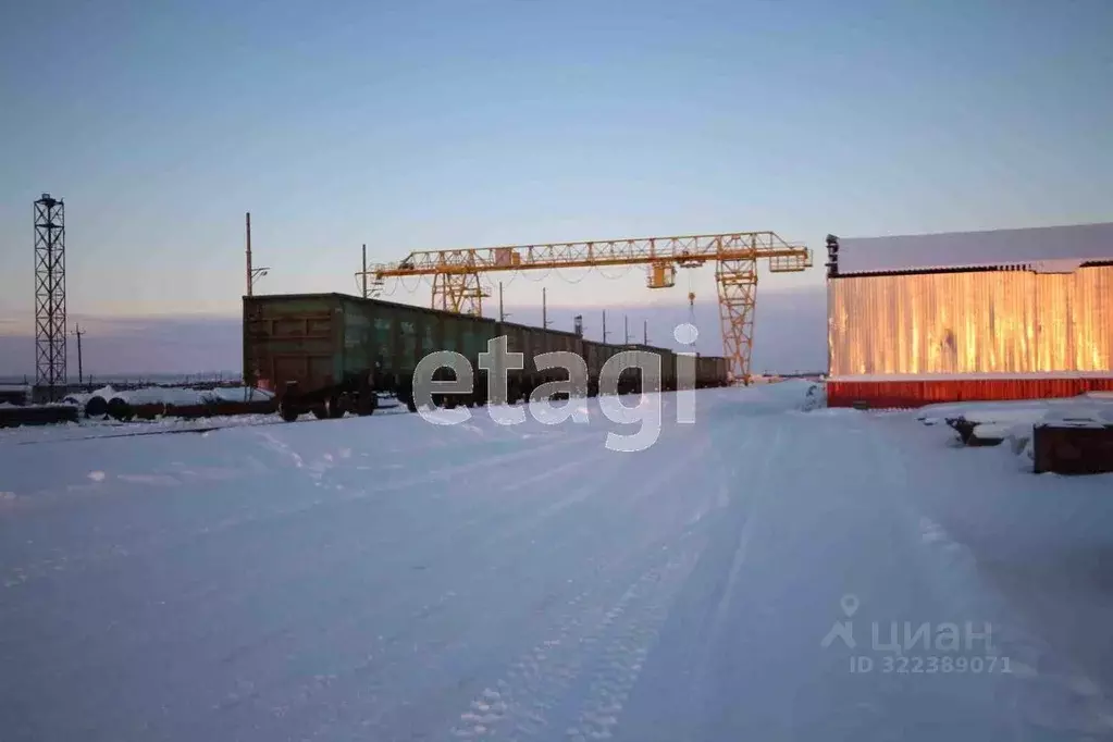 Склад в Ямало-Ненецкий АО, Новый Уренгой ул. Промысловая, 62/1 (2500 ... - Фото 1