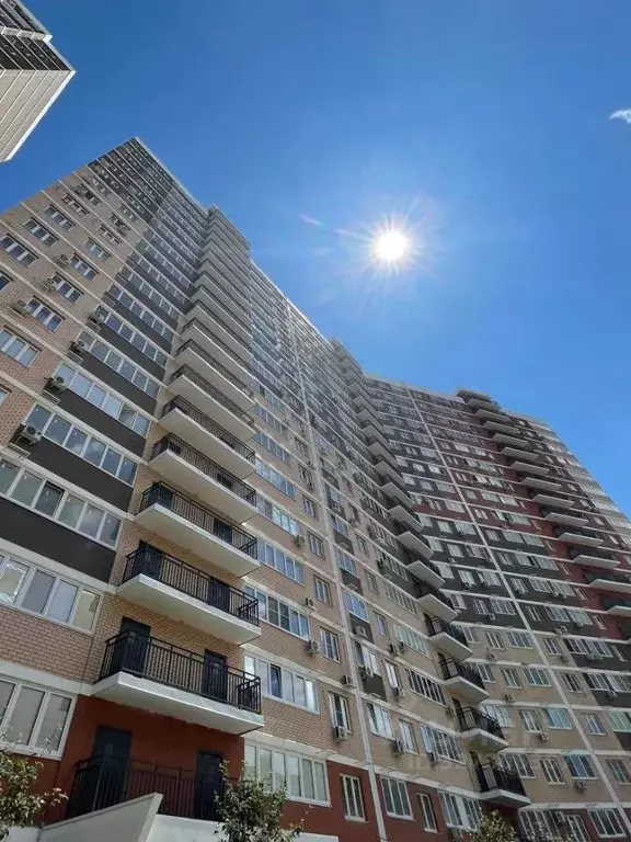 Студия Краснодарский край, Краснодар ул. Западный обход, 45к5 (25.0 м) - Фото 1