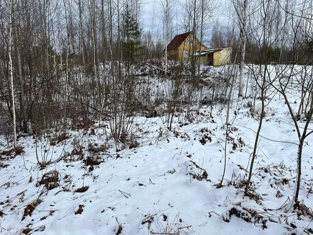 Участок в Ленинградская область, Кировский район, Мгинское городское ... - Фото 0