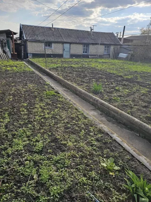 Дом в Воронежская область, с. Репьевка ул. Спортивная (61 м) - Фото 2