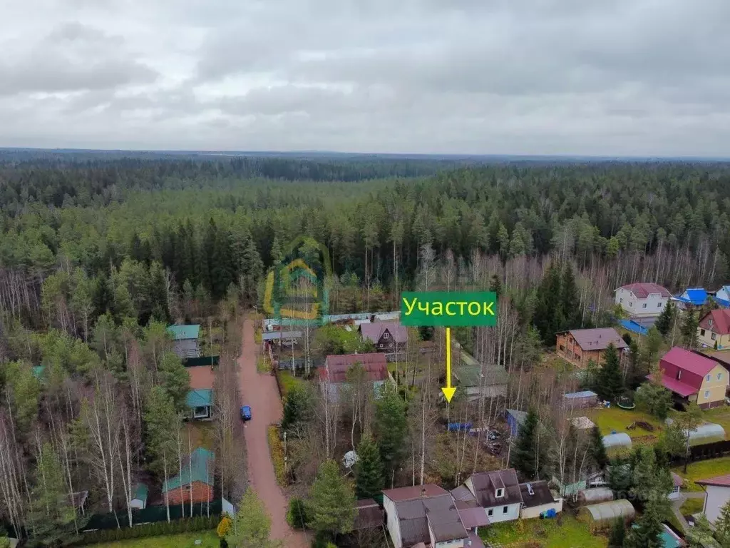 Участок в Ленинградская область, Всеволожский район, Сертоловское ... - Фото 2